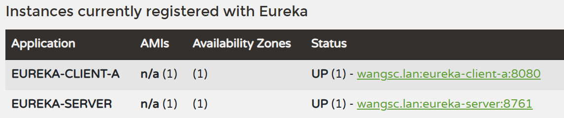 Spring Cloud Eureka-59.png